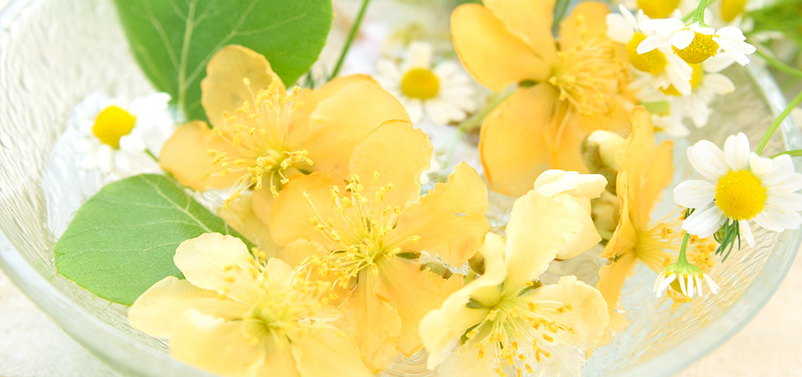 川口市里 皮膚科 アレルギー科